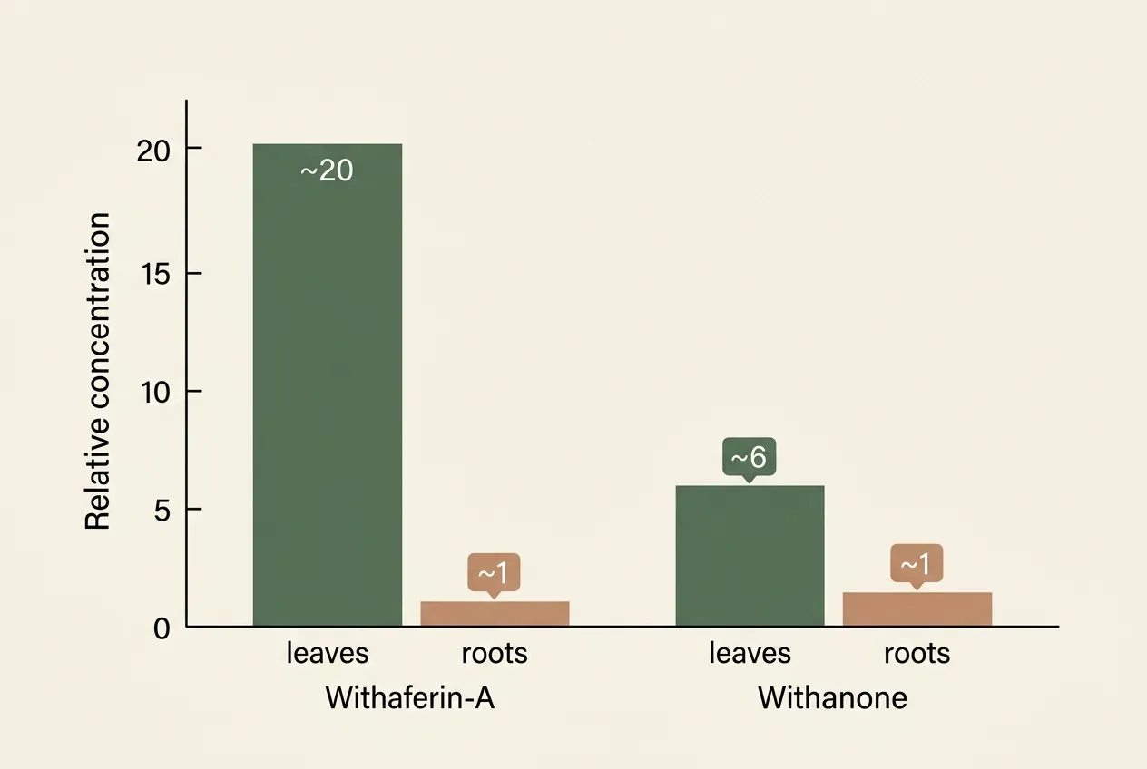 Why leaves and roots are not the same plant (from a chemistry standpoint)