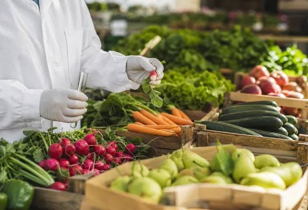 Pesticide Residues in EU Food: EFSA's 2024 Report Explained