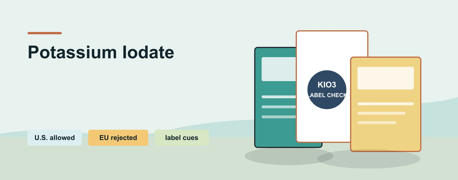 Potassium Iodate: The Bread Additive Europe Rejected